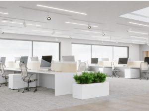 일회용 대나무 젓가락으로 지속 가능한 식음료 비즈니스를 구축하기 위한 전략적 조달 가이드